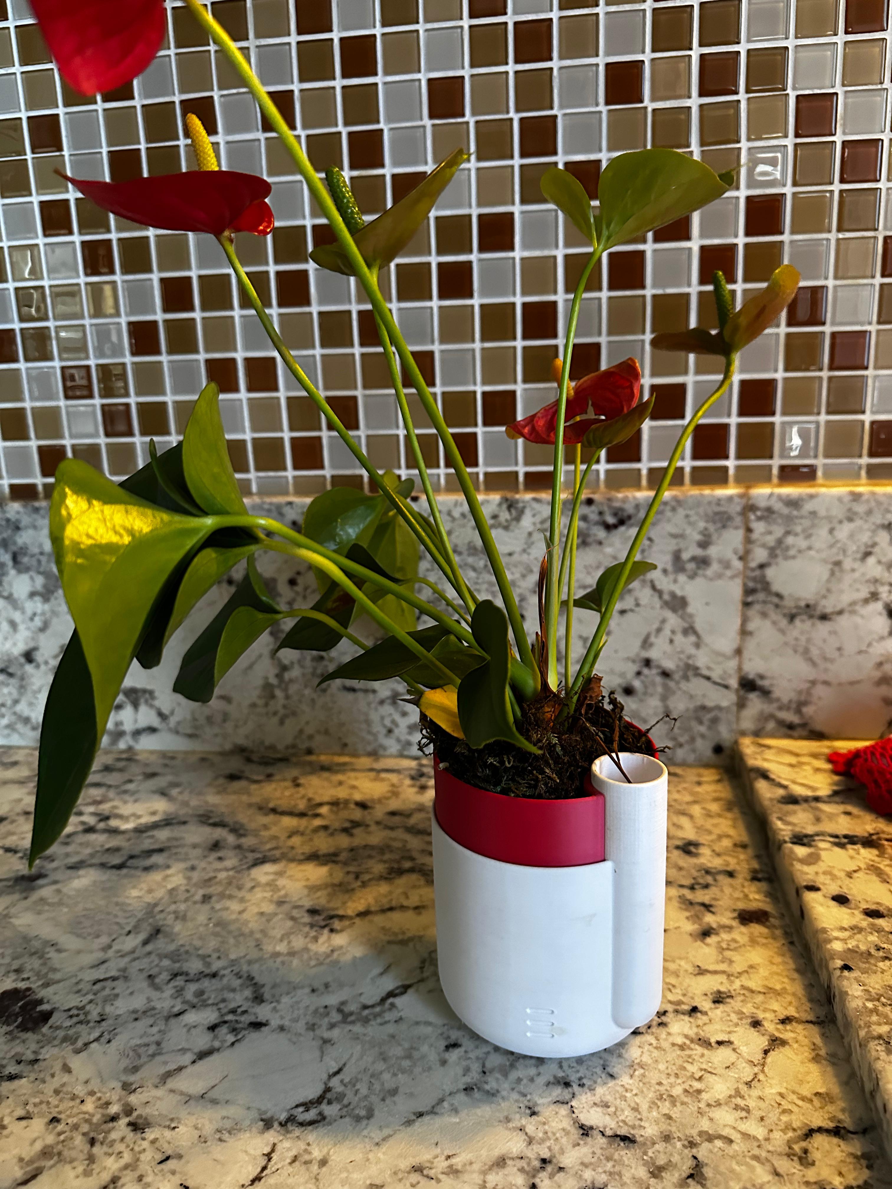 Vaso de flor autoirrigável biodegradável